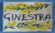 Ginestra